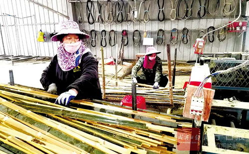 图文 咸安汀泗桥镇特色产业助脱贫